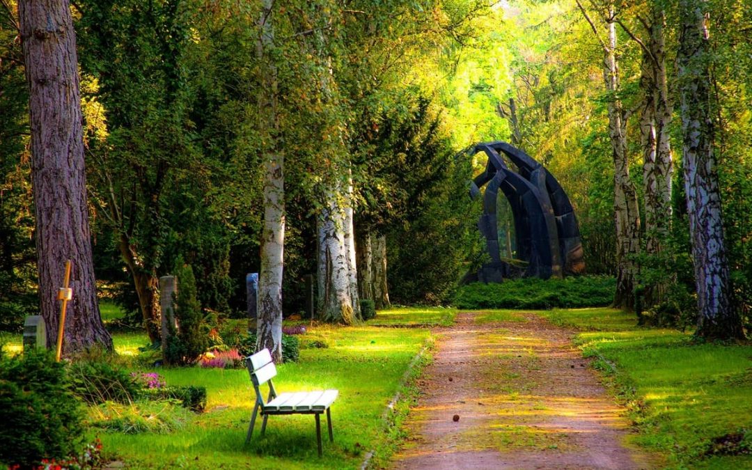 Pasos a Seguir Tras la Pérdida de un Ser Querido: Una Guía Legal y Emocional